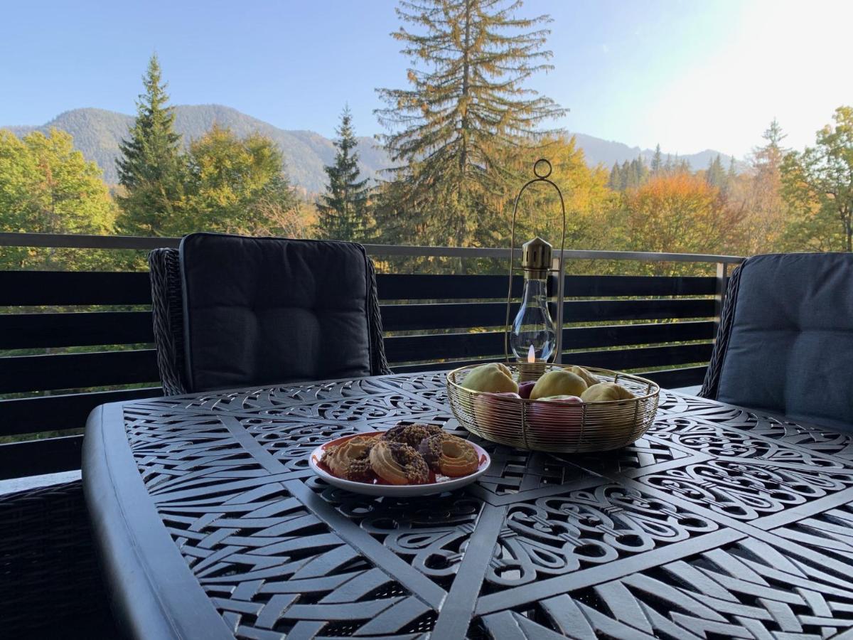 Edelweiss Silver Apartment Poiana Brasov